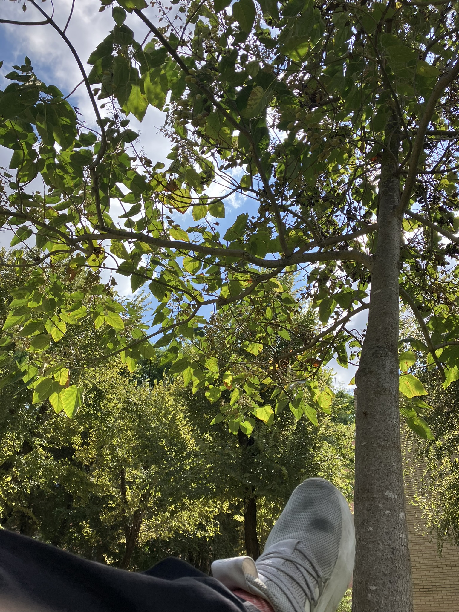 Relaxing in the quad